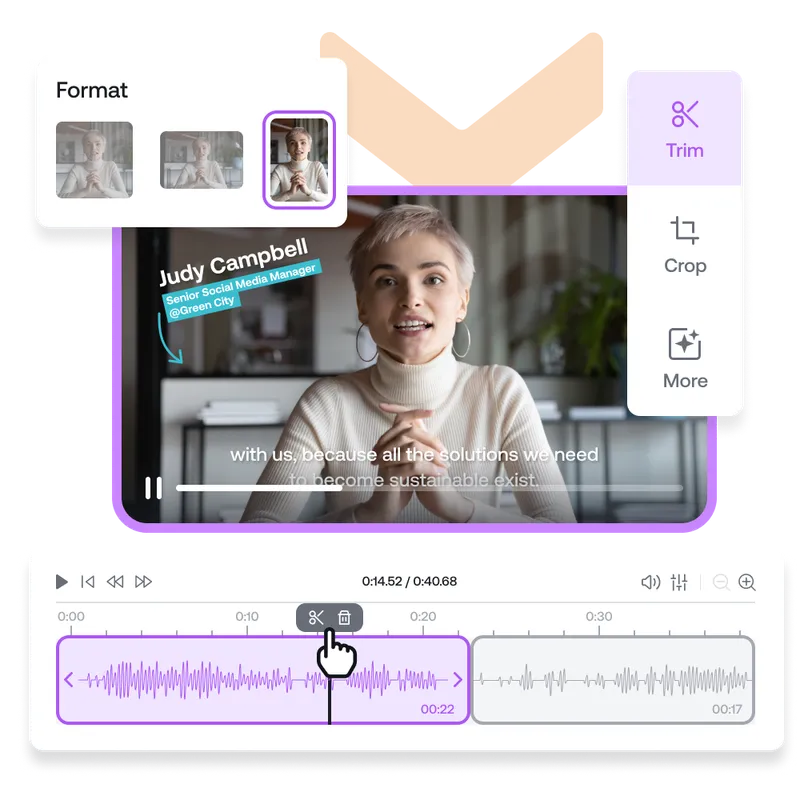 Basic feature -  Format + Trim + Audio (Interview) (1).png