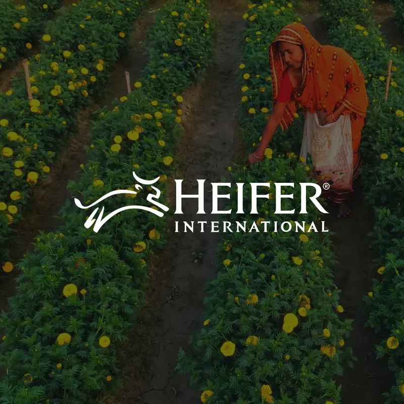 Heifer's Success Story: Scaling Video Production & Engagement with PlayPlay