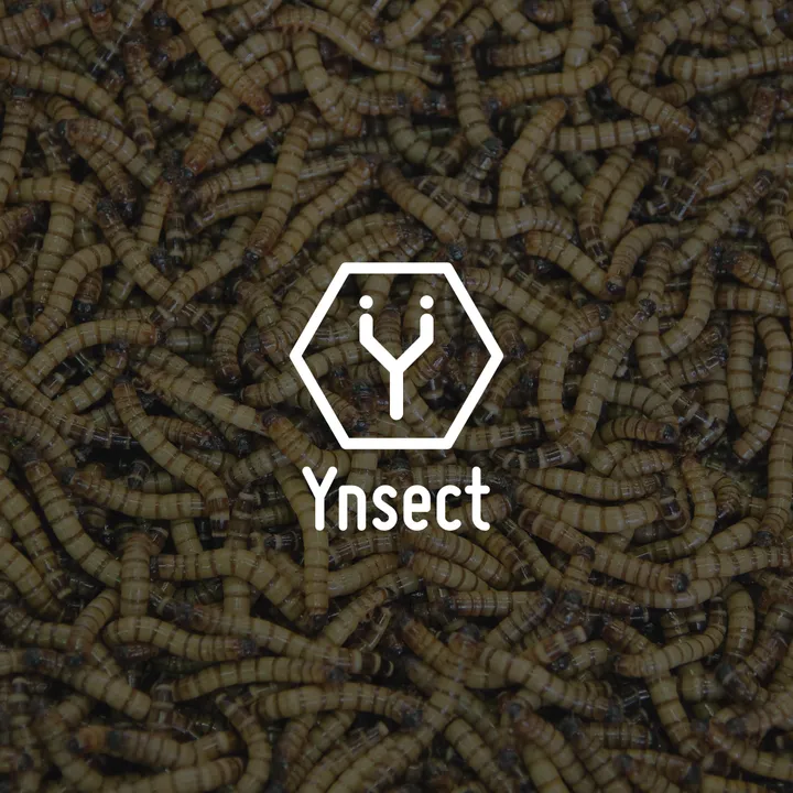 Cover - Customer story (Ynsect).png