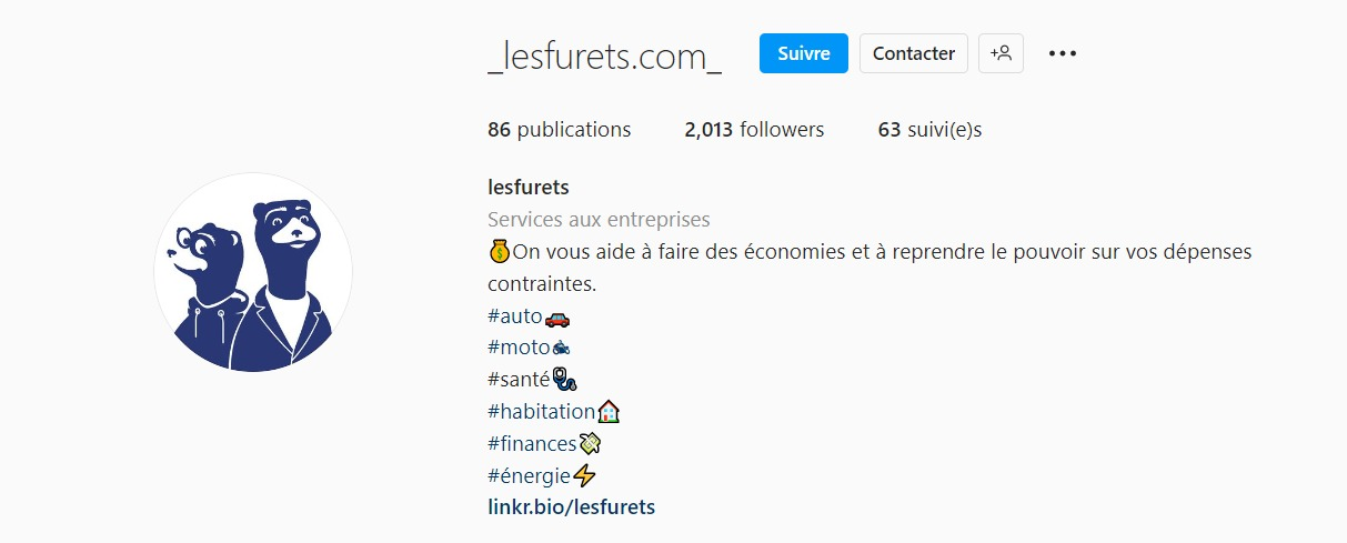 Exemple biographie instagram les furets