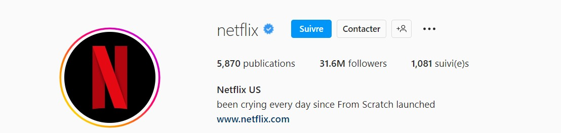 Exemple de bio Insta Netflix