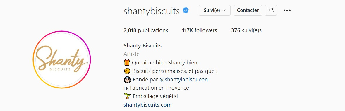 Exemple bio Insta Shanty