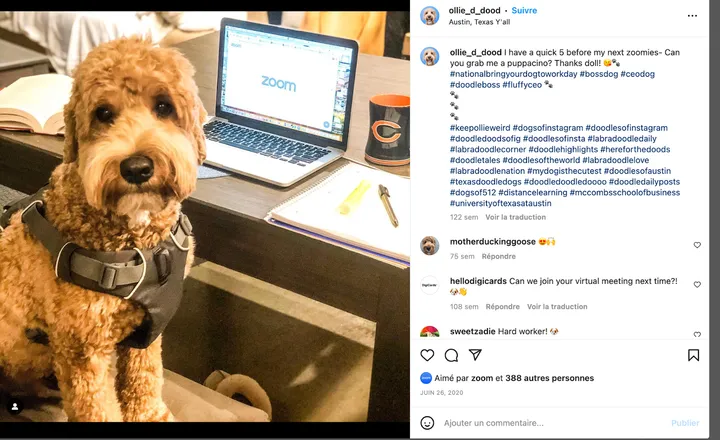 Exemple d'employee advocacy sur Instagram