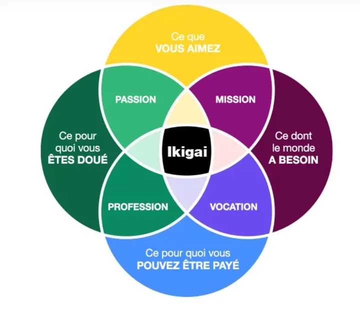 exemple-strategie-personal-branding-ikigai