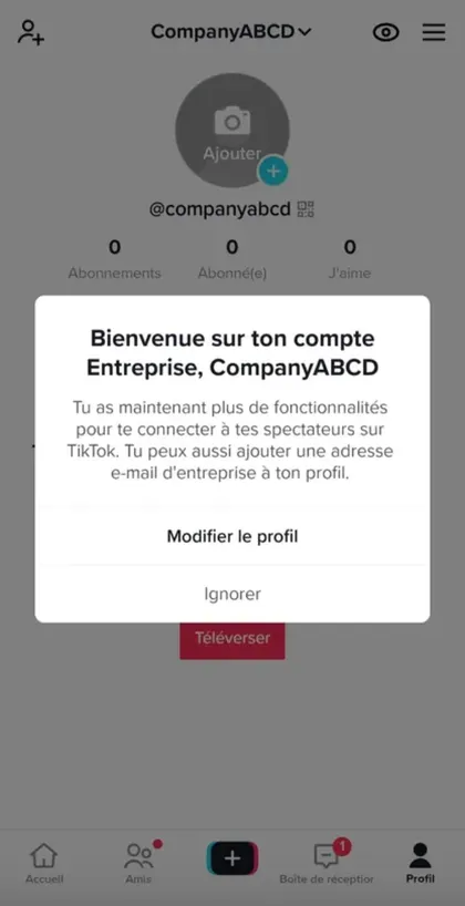 TikTok compte entreprise